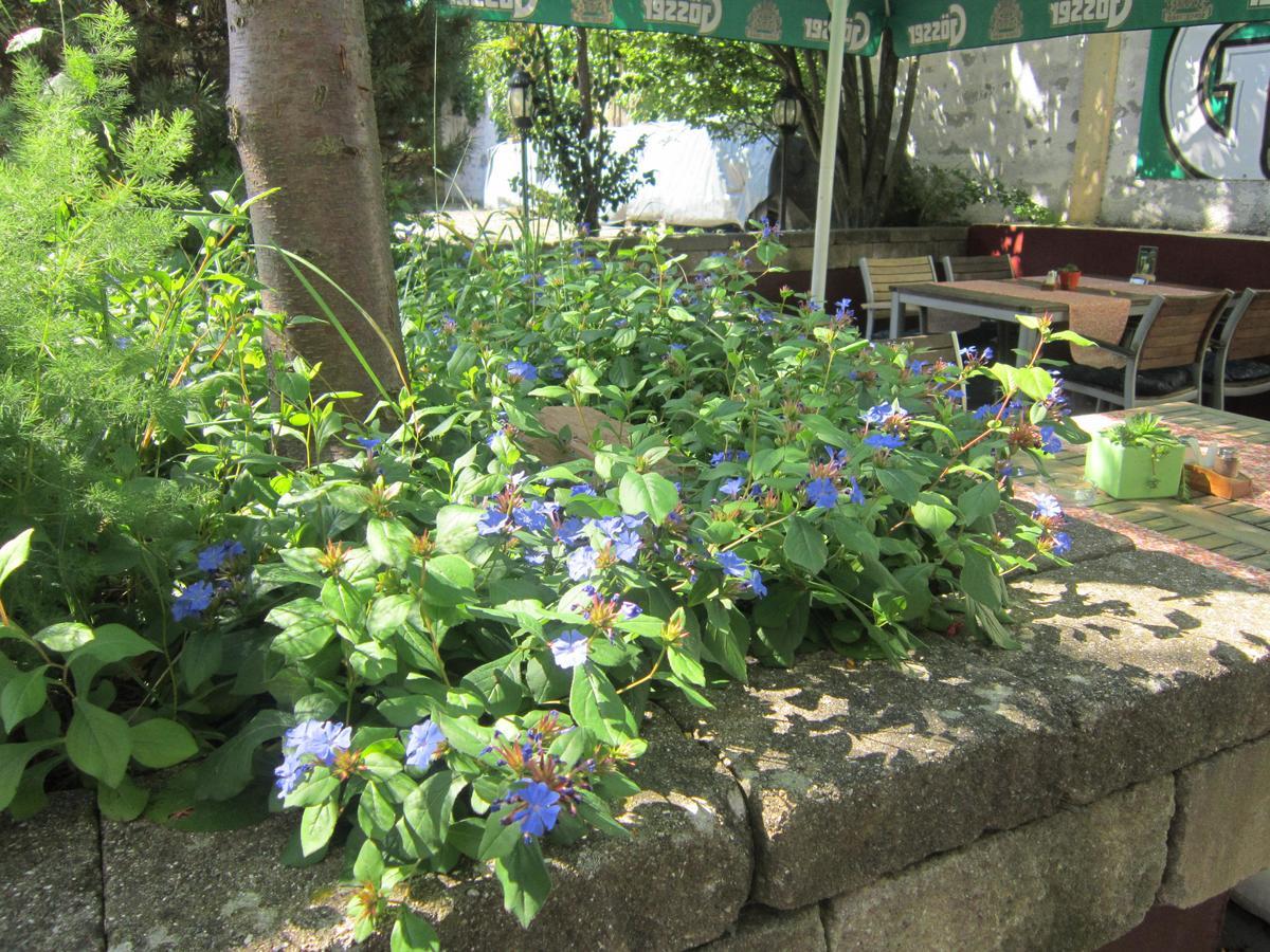 Guest House Veronika โคตเชวิเย ภายนอก รูปภาพ